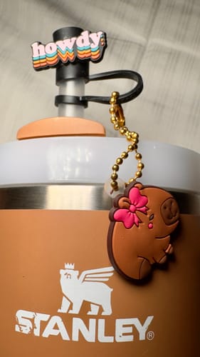 Customer photo review of Howdy Straw Topper