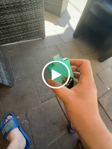 undefined review of Fumot Tornado Vape 35000 image 1 out of 1