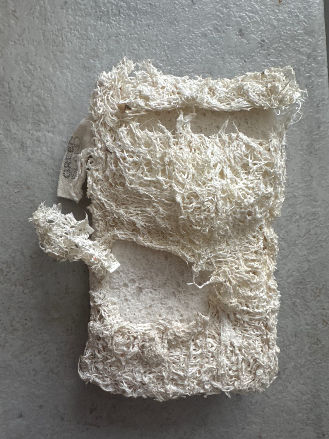 Customer photo review of Compostable Sponges - Pack of 3