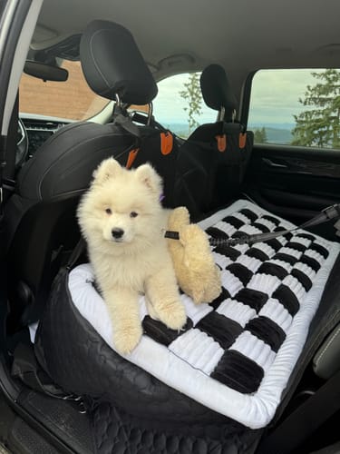Customer photo review of RuffRover 2.0™ - Hard Bottom Back Seat Extender + (FREE Dog Bed)