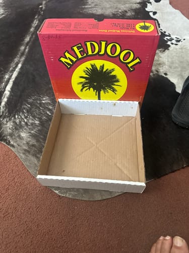 Customer photo review of Fancy Tight-Skinned Medjool Dates