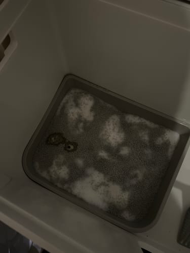 Customer photo review of 3 Month Supply - 1 Cat