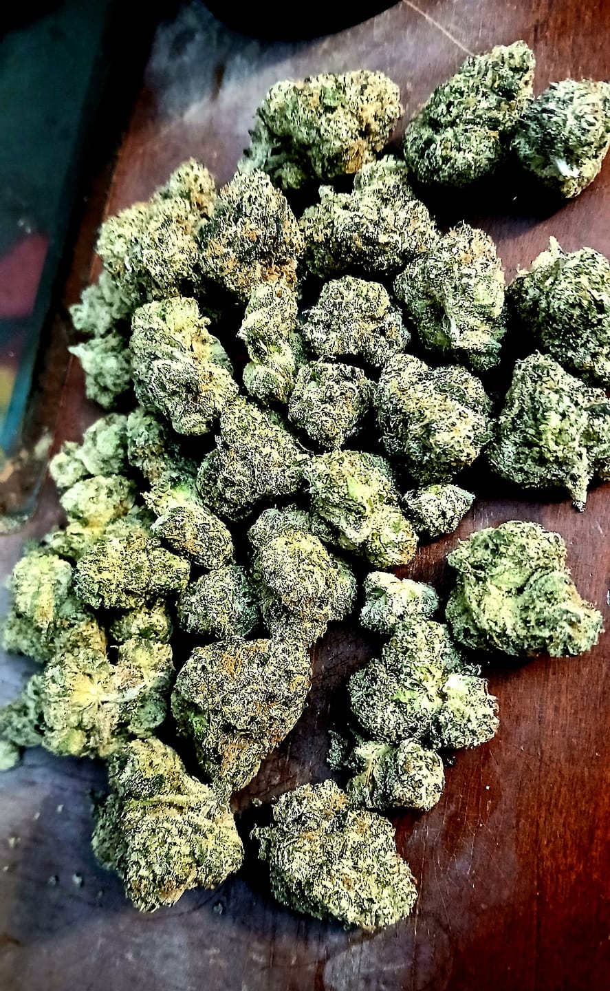 Customer photo review of Gelato 45 - THCa Flower