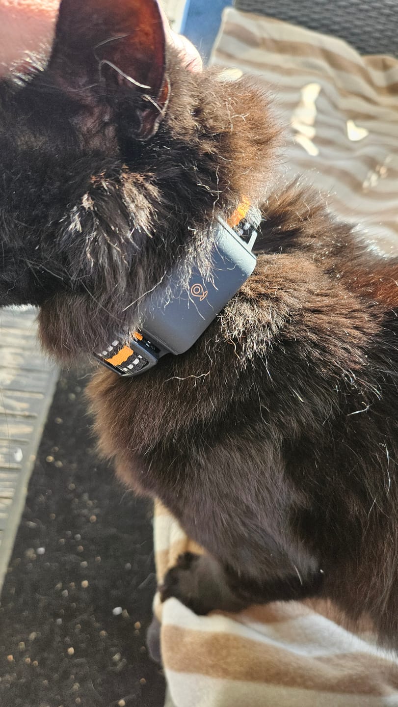 Customer photo review of 4G GPS-Tracker