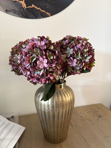 Fotorecensie van een klant over Grote Zijden Hortensia - Paars