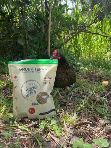 Customer photo review of GrubTerra Dried Larvae Sample FREE