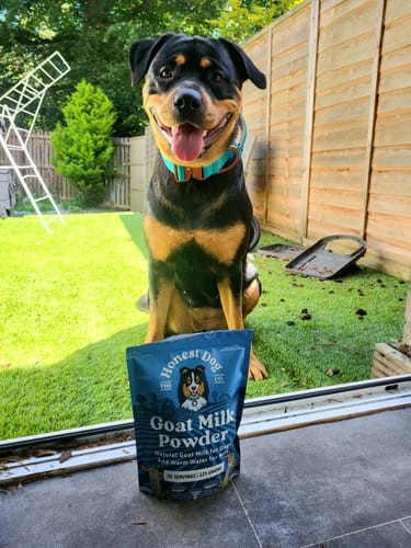 Customer photo review of Goat Milk Powder for Dogs