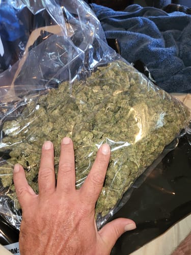 Customer photo review of Illuminati OG - Bulk - Indica