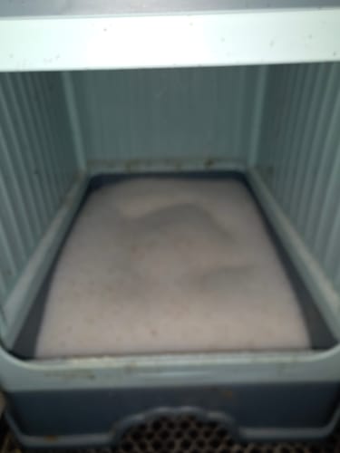 Customer photo review of 1 month supply - 4 Cats