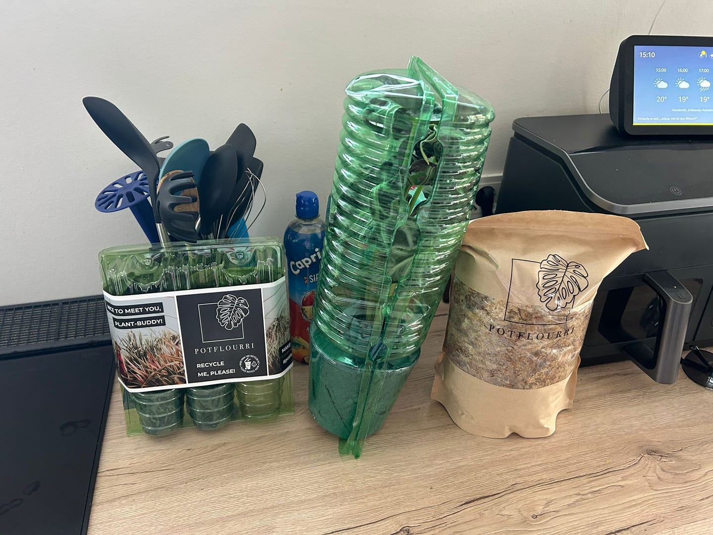 Customer photo review of ALOCASIA DRAGON SCALE VARIEGATA
