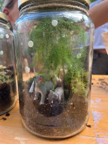 Customer photo review of Flaschengarten-Kindergeburtstags-Set