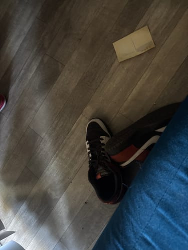 Customer photo review of Dunk Low Red Panda SIZE 15M/16.5W