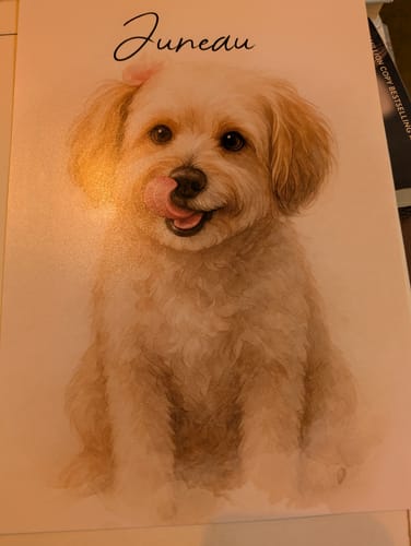 Customer photo review of Custom Watercolor Portraits Using Pet Photo - Personalized Poster - Gift for Dogs Cats Lovers, Pet Lover Gift