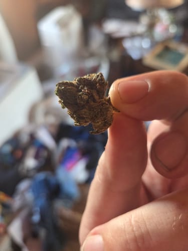 Customer photo review of Sweet ZZ