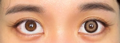 Customer photo review of Kazzue Midnight Brown