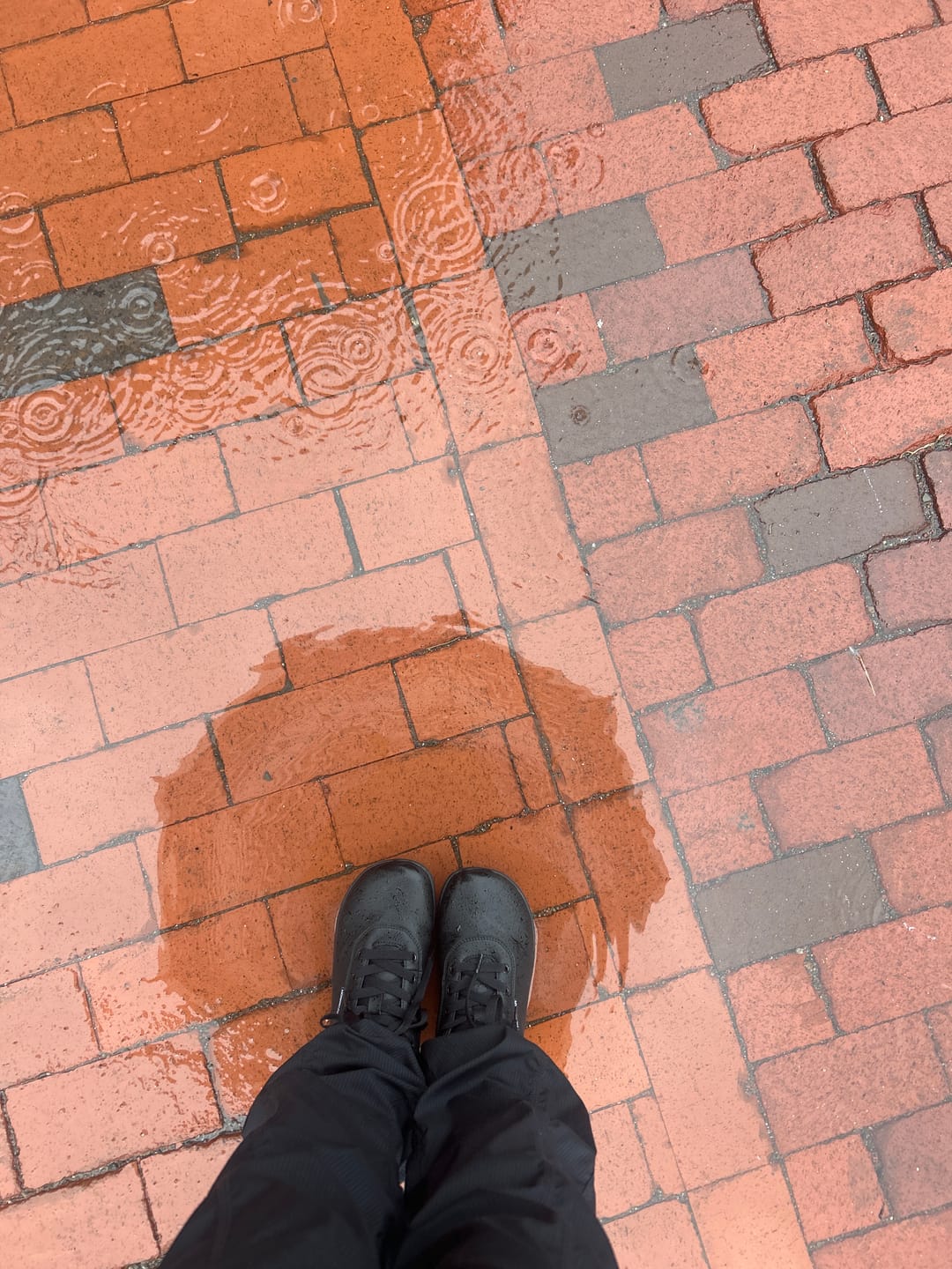 Customer photo review of Fir - Waterproof Barefoot Shoes