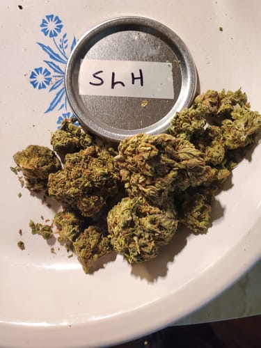 Customer photo review of Cheap THCA Flower Quarter Pound