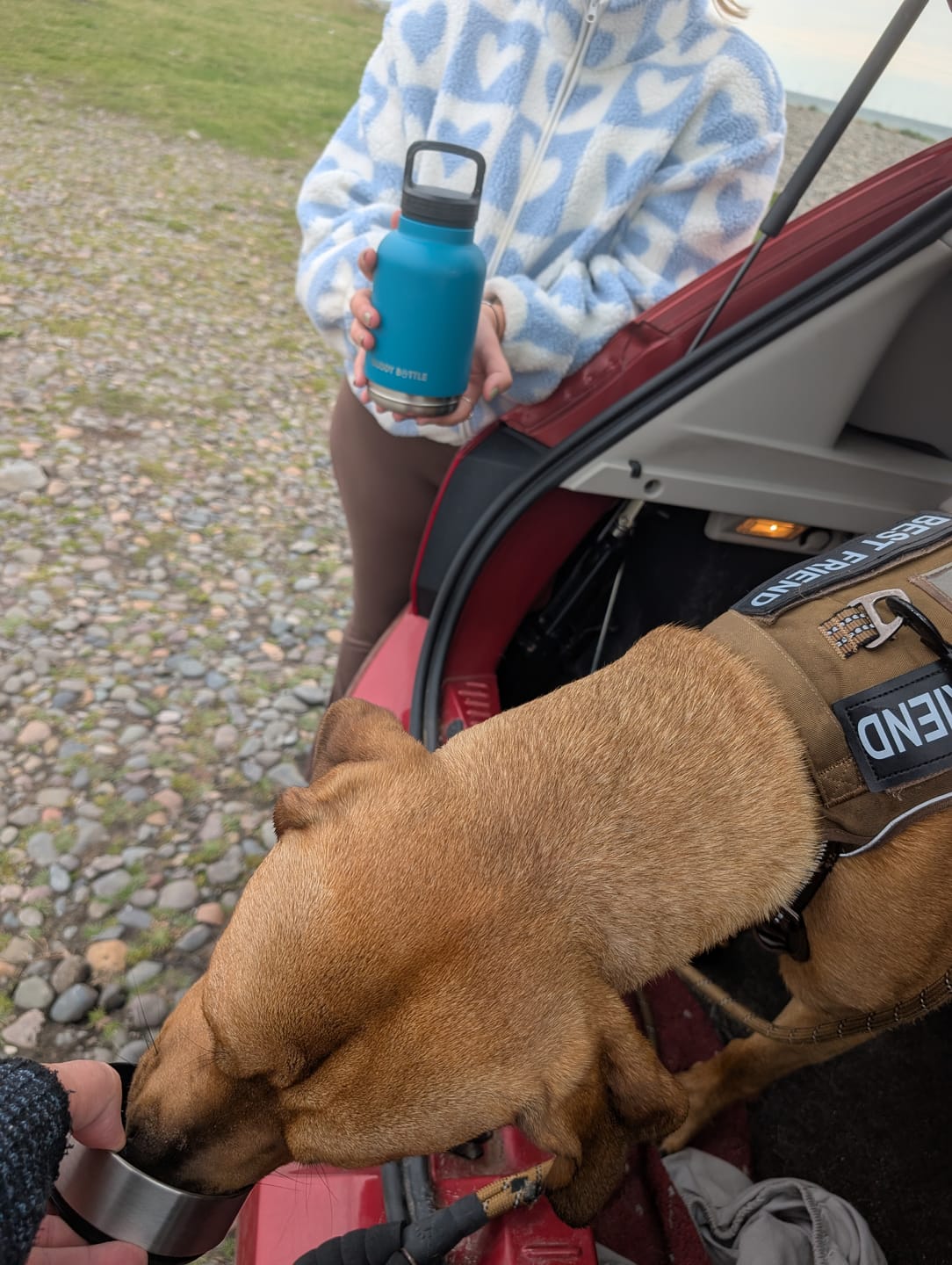 Customer photo review of LOLA - BUDDY BOTTLE™ 3-in-1  Water Bottle For Dogs