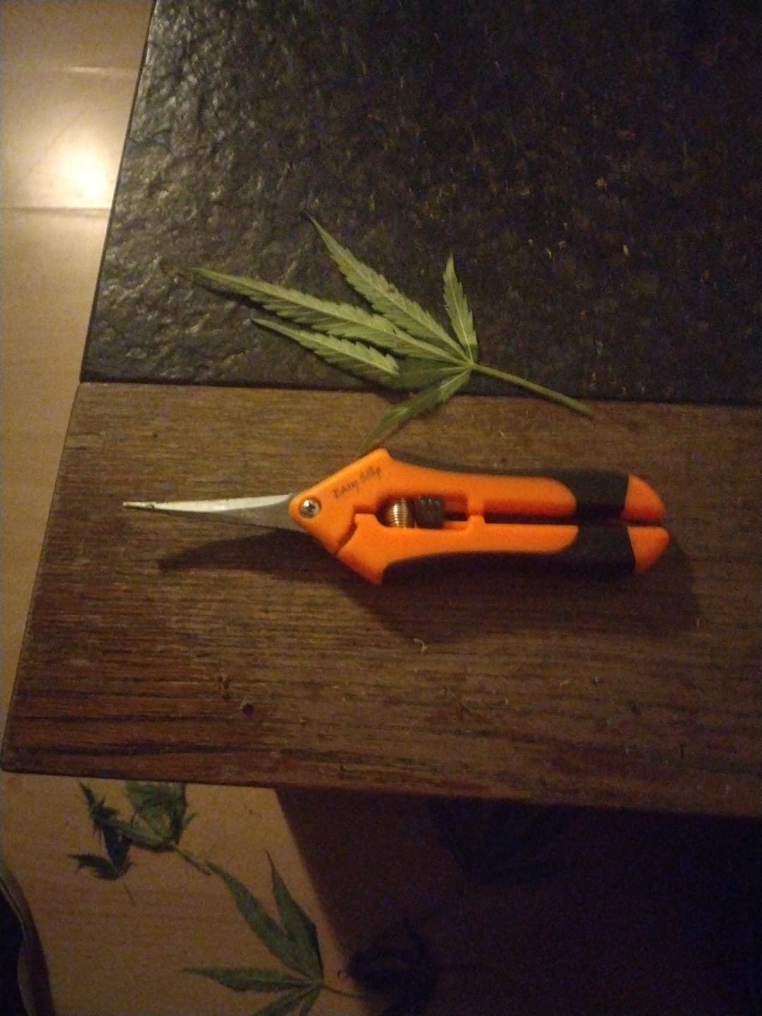 Customer photo review of Easy Snip Schere gebogen