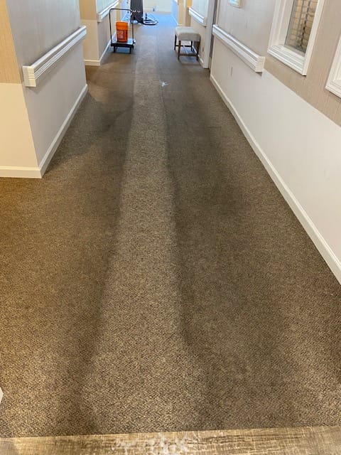Customer photo review of • Releasit Encap-Clean DS2 (4 Gallon) Encapsulation Carpet Cleaning Detergent [Encap]