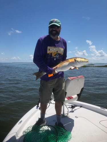 Customer photo review of Waterloo Tide Series