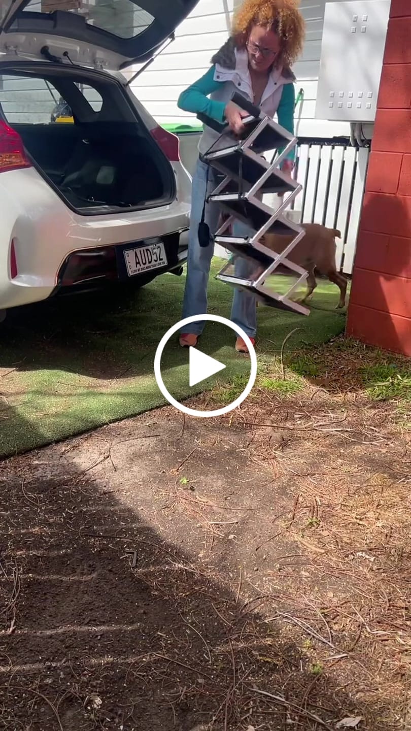 Customer video review of Foldable Aluminum Pet Steps