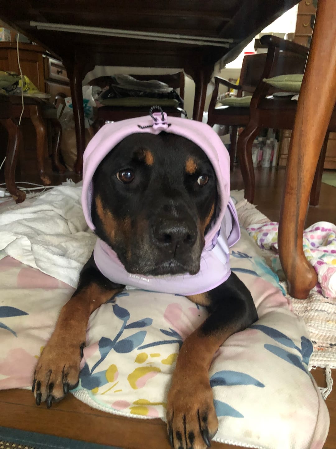 Customer photo review of Anxiety Calming Suit - Purple