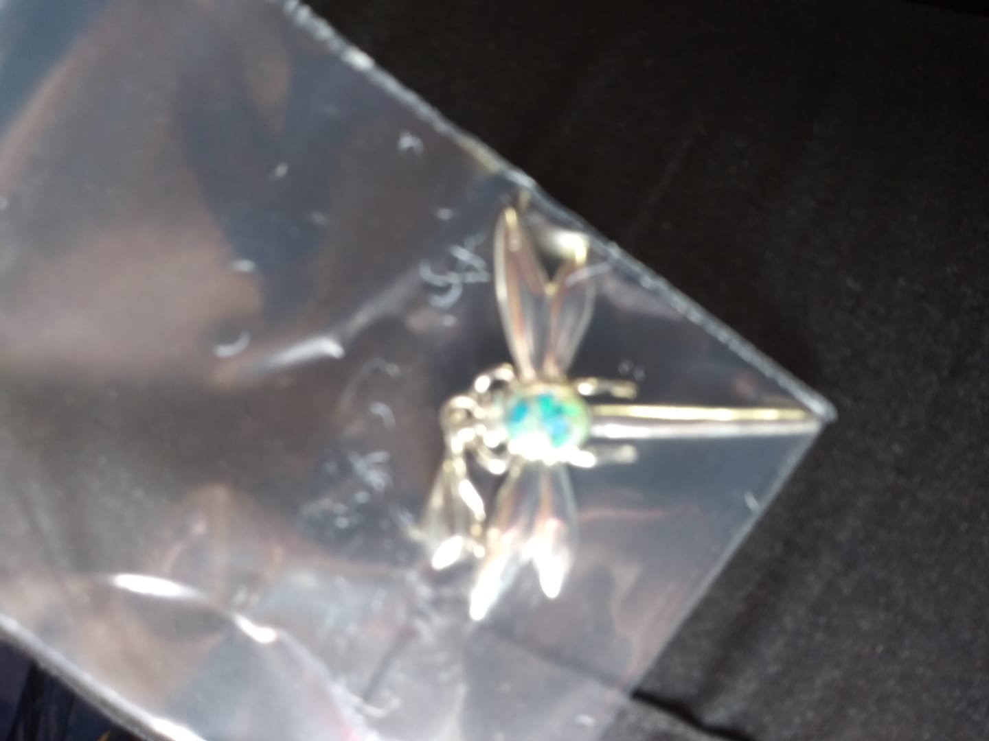 Customer photo review of Dragonfly Pendant with Cremation Ashes