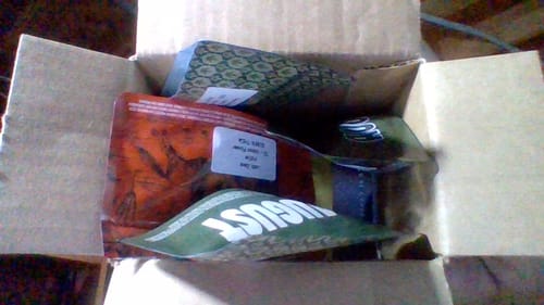 Customer photo review of Sunrise to Sunset Exotic Smalls Bundle