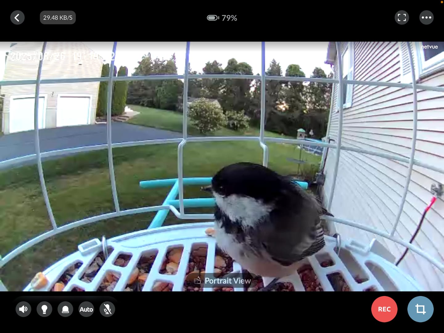 Customer photo review of Birdfy Feeder with Solar Panel - Solar-Powered Smart Bird Feeder with Camera