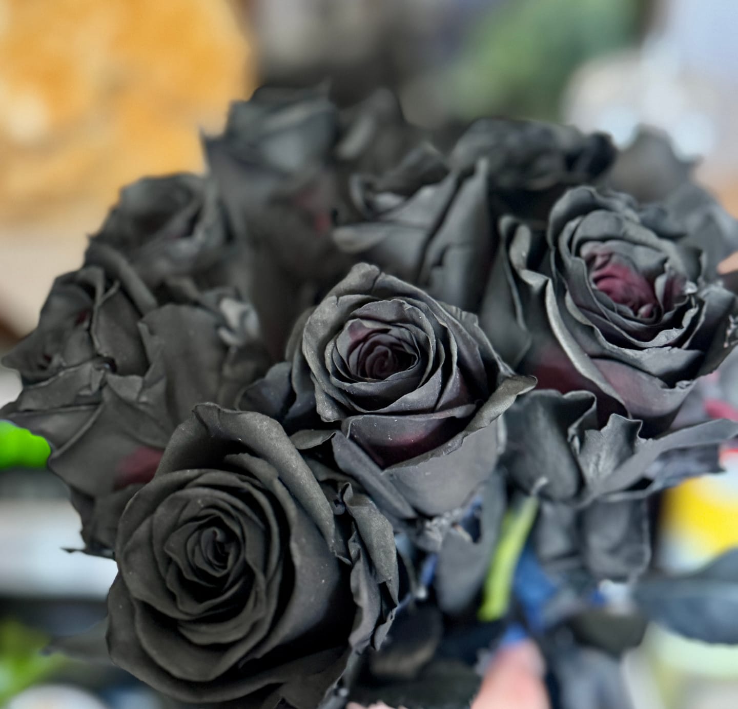 Customer photo review of Black Roses