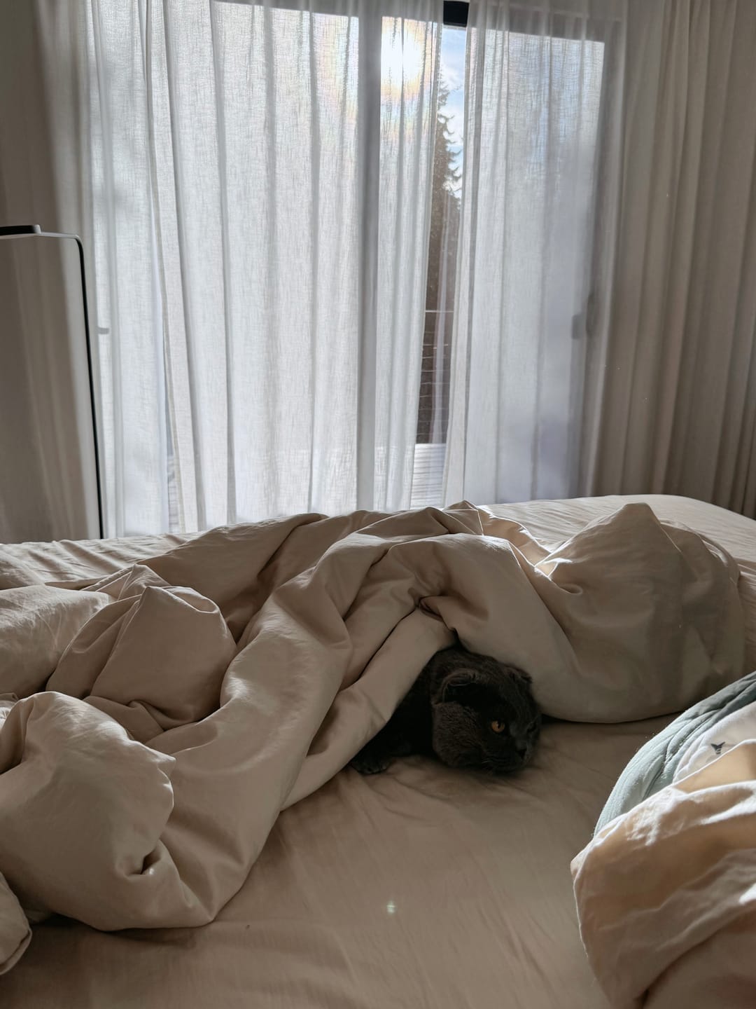 Customer photo review of Washable Tencel Silk Cooling Blanket