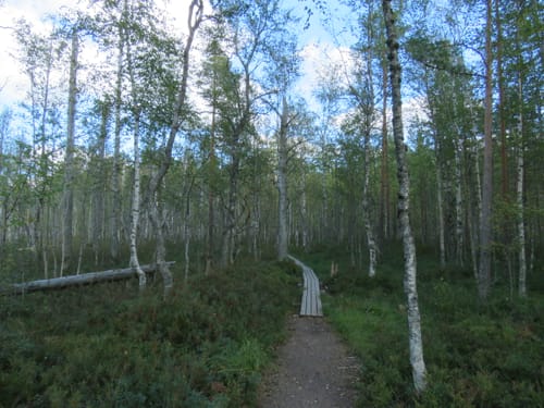 Customer photo review of Vaistoa Uoma 2 -paljasjalkavaelluskengät