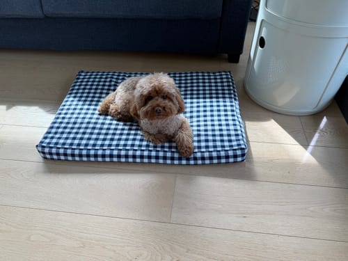 Customer photo review of Materassino Sfoderabile Quadretto Navy