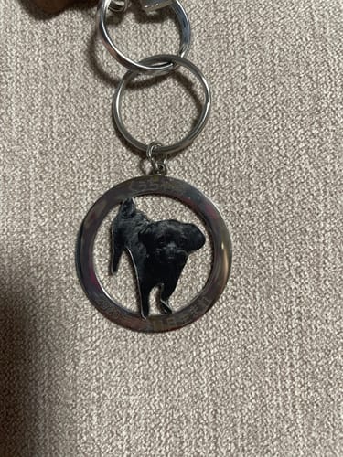 Customer photo review of 本物そっくり！愛犬キーホルダー♪