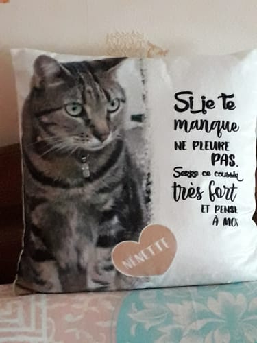 Customer photo review of Si je te manque - Coussin personnalisé