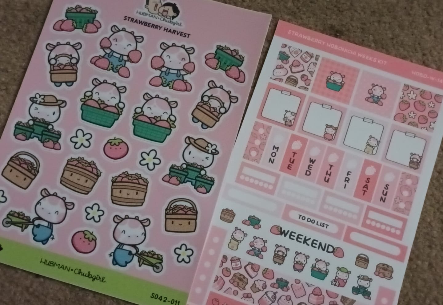 Customer photo review of Strawberry Harvest Sticker Sheet