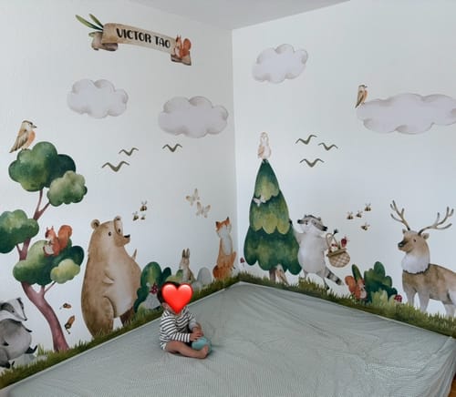 Customer photo review of Adorable Forest Animals