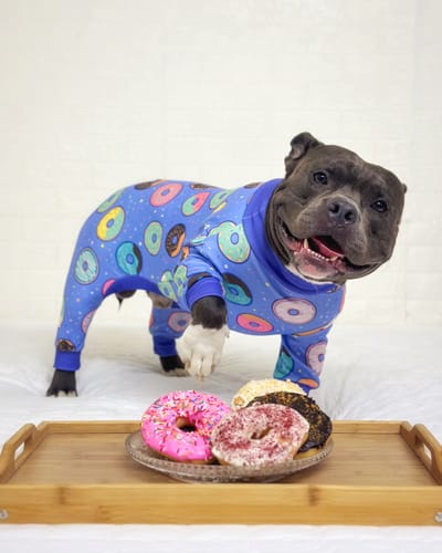 Customer photo review of Dog Pajama - Donuts