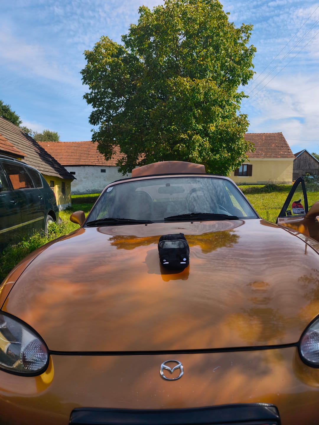 Customer photo review of Miata MX5 Plushie