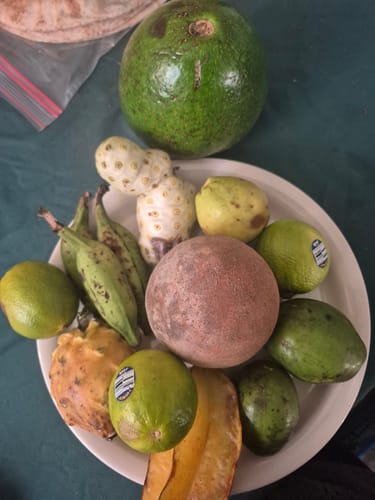 Customer photo review of Tropical Variety Box