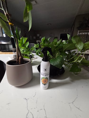 Customer photo review of Houseplant Pest Spray
