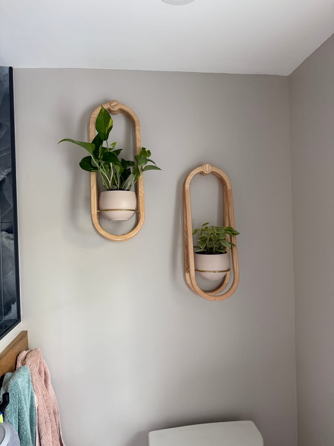 Customer photo review of Frame Wall Planter + Pot Duo
