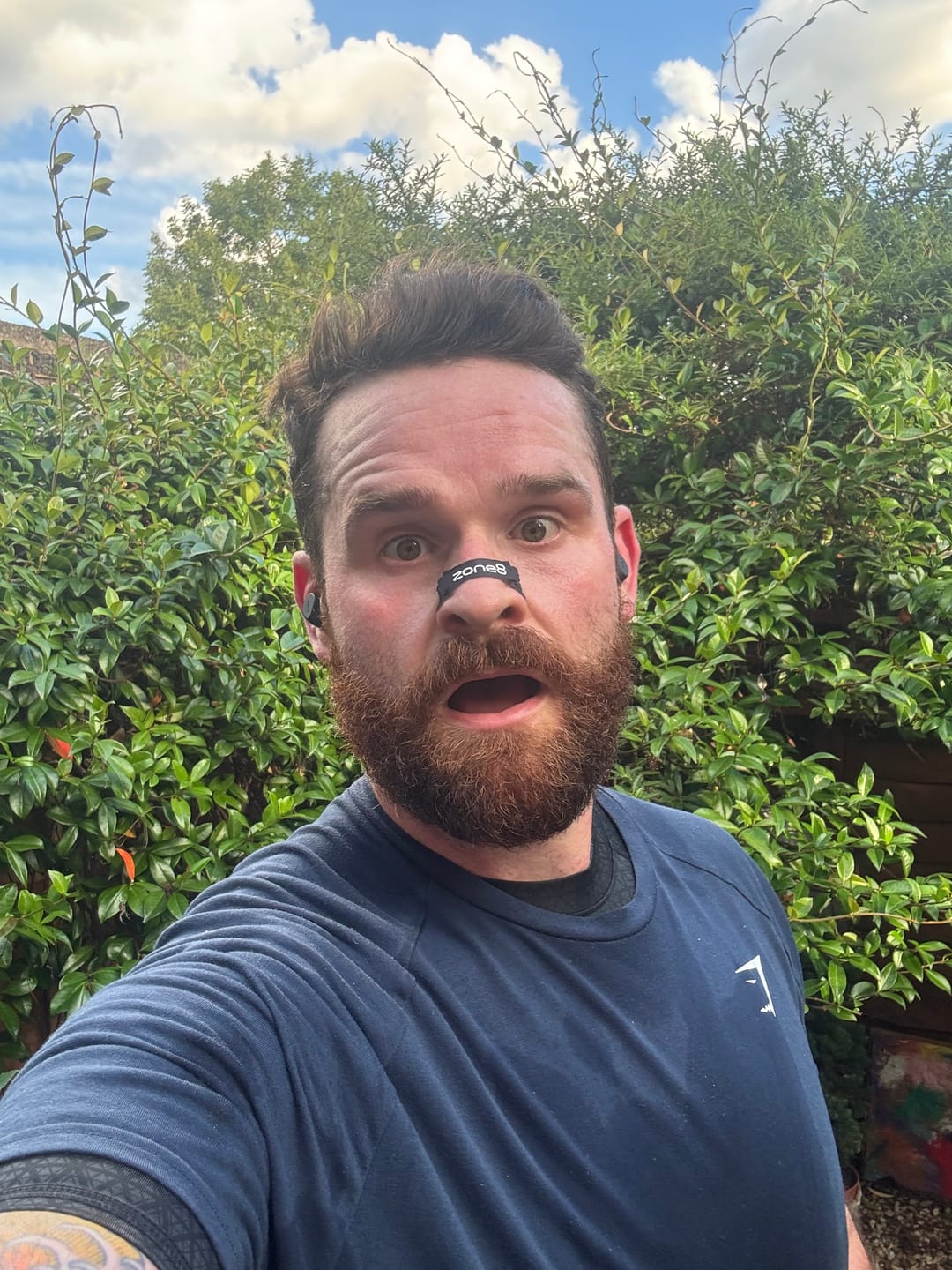 Customer photo review of Performance Lite Nasal Strips