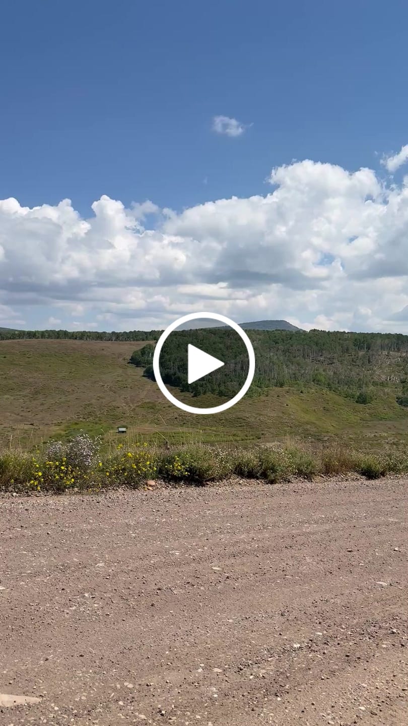 Customer video review of Buscadero BSX 140 Pit Bike
