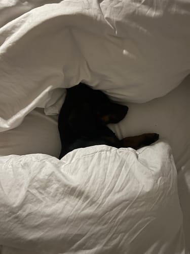 undefined review of Relax Time image 1 out of 2