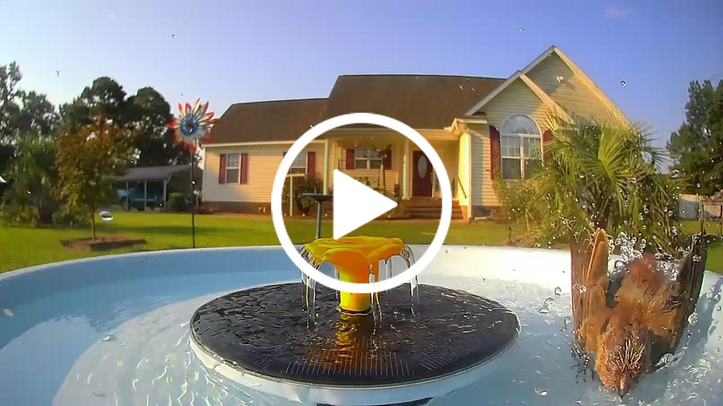 Customer video review of Birdfy Bath Pro - Solar-Powered Smart Birdbath with Fountain