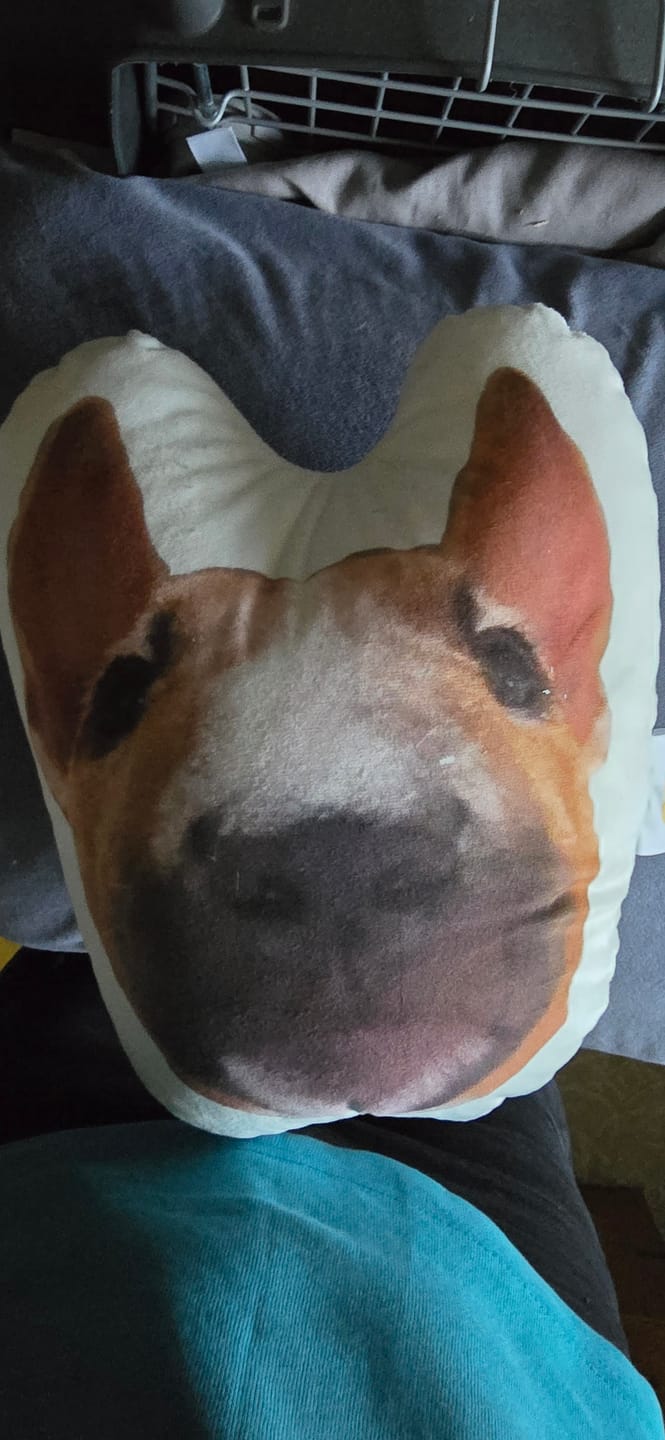 Customer photo review of Personalisiertes Tiergesichterkissen