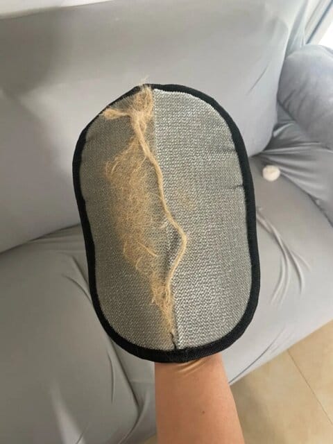 Customer photo review of Guanto Rimuovi Peli per Animali