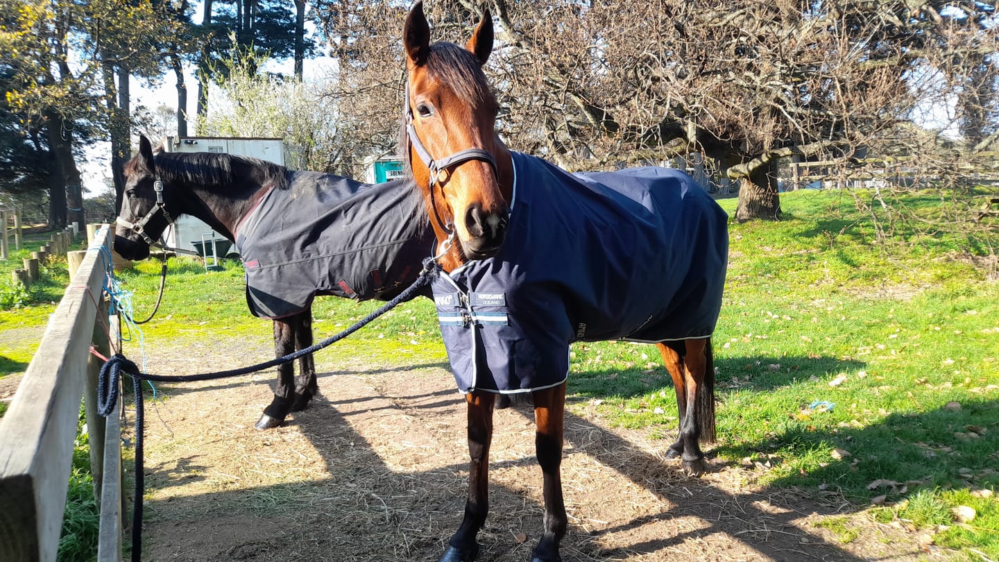 Customer photo review of Amigo Ripstop 900D Plus Turnout 0g